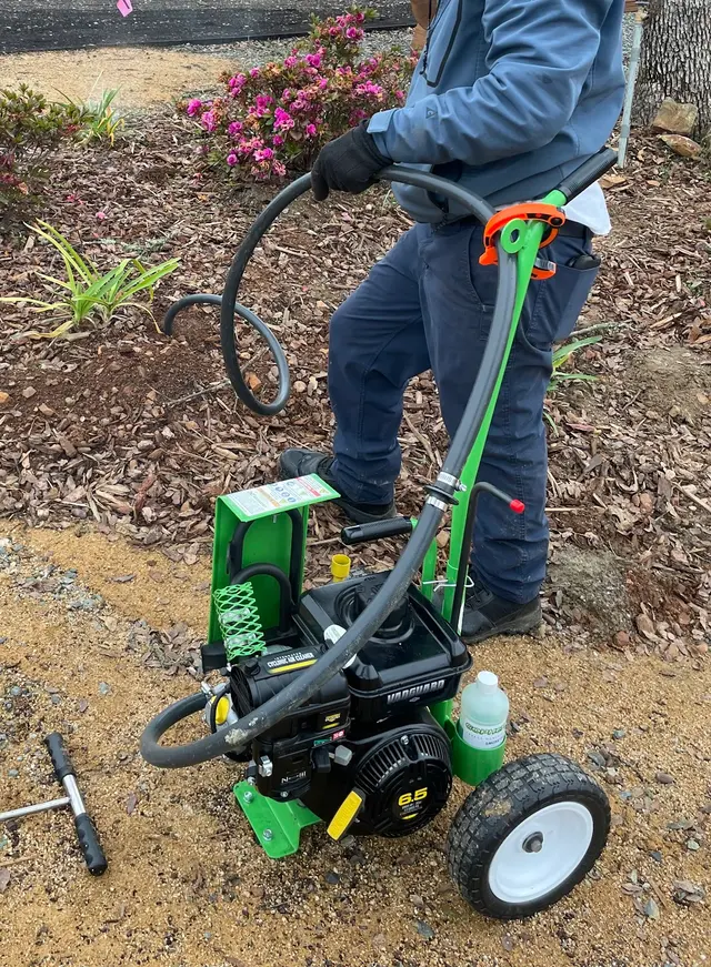 Hobbs Pest Solutions — photo from the business 12