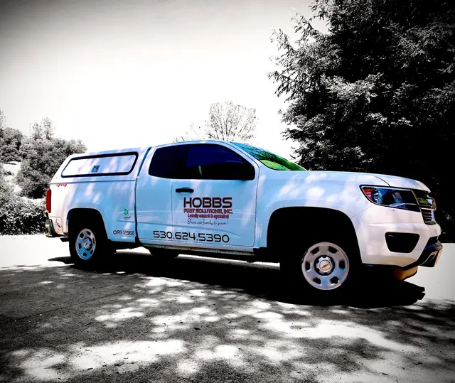 Hobbs Pest Solutions — photo from the business 2