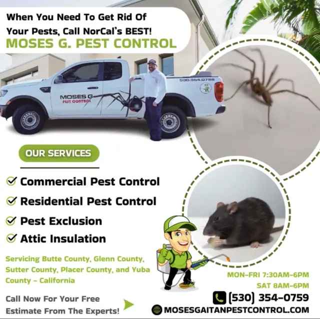 Moses Gaitan Pest Control — photo from the business 6