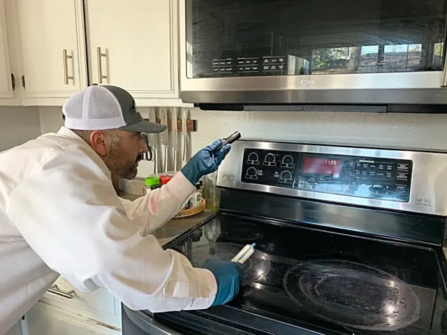 Moses Gaitan Pest Control — customer photo 4