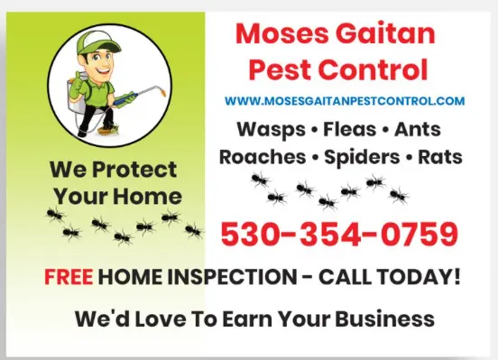 Moses Gaitan Pest Control — photo from the business 7
