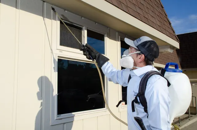 Western Termite Solutions, Inc — photo from the business 3