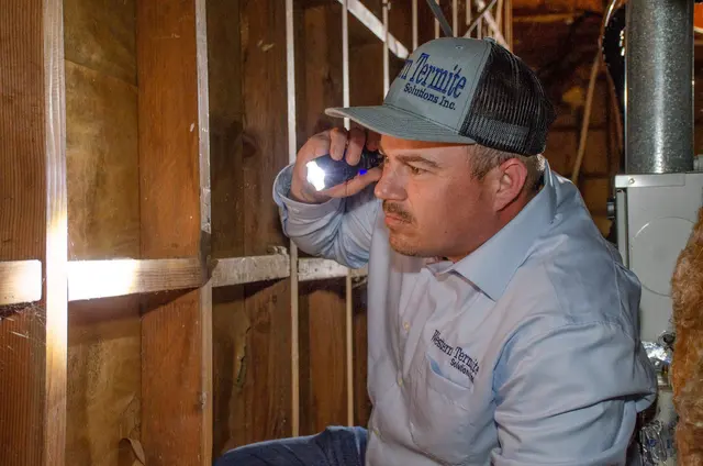 Western Termite Solutions, Inc — photo from the business 1