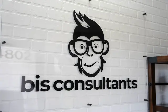 BIS Consultants — photo from the business 1
