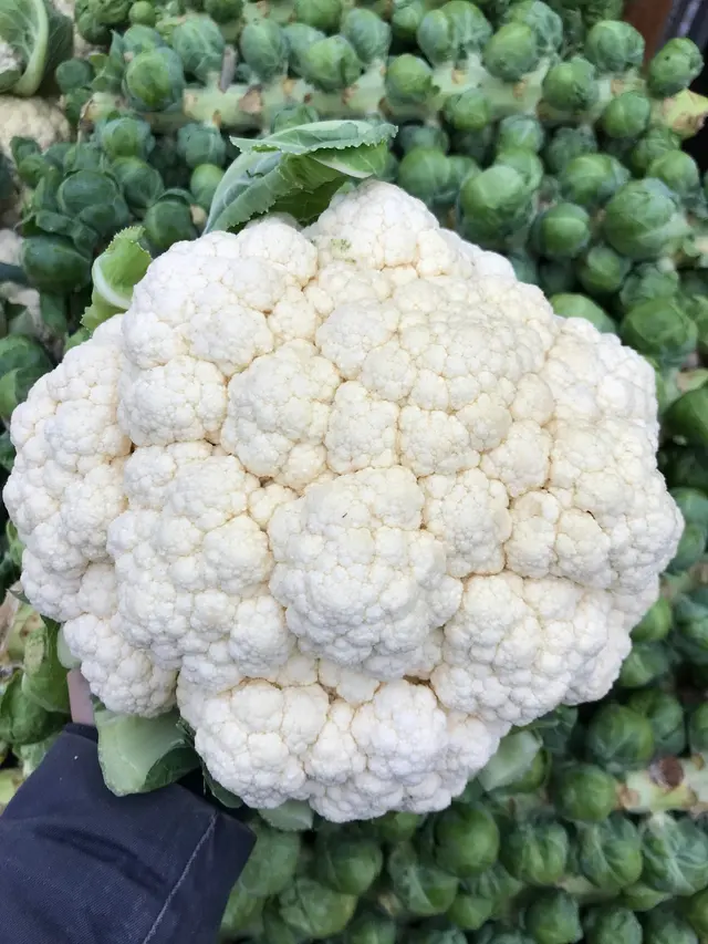 Talarico's Produce — photo from the business 7