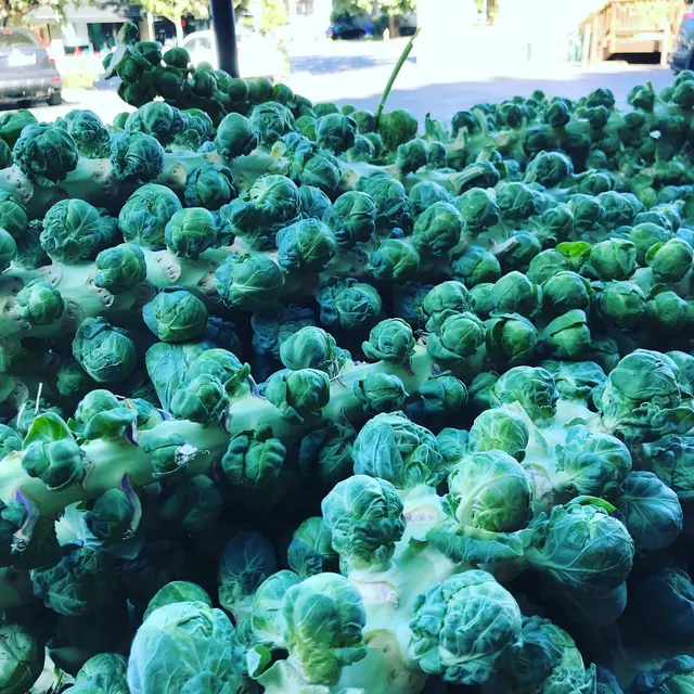 Talarico's Produce — photo from the business 12