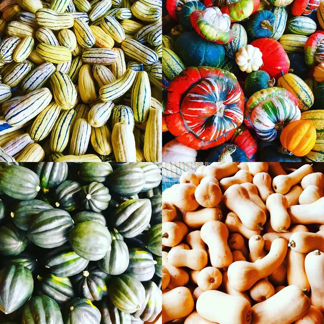 Talarico's Produce — photo from the business 8