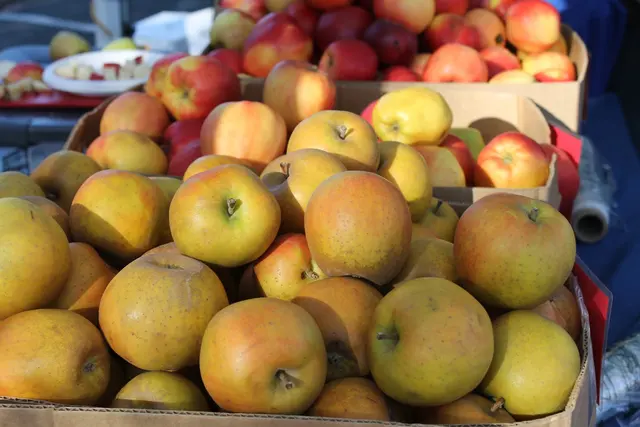 Milwaukie Farmers Market — photo from the business 1