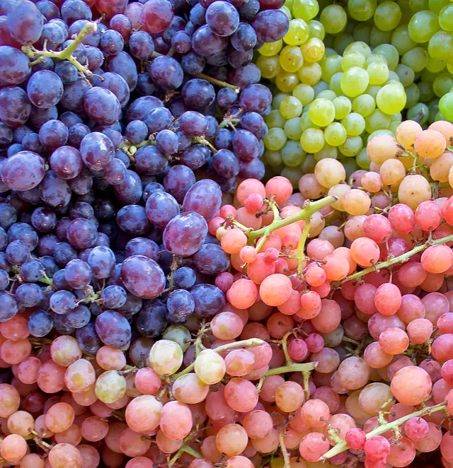 Montavilla Farmers Market — photo from the business 10