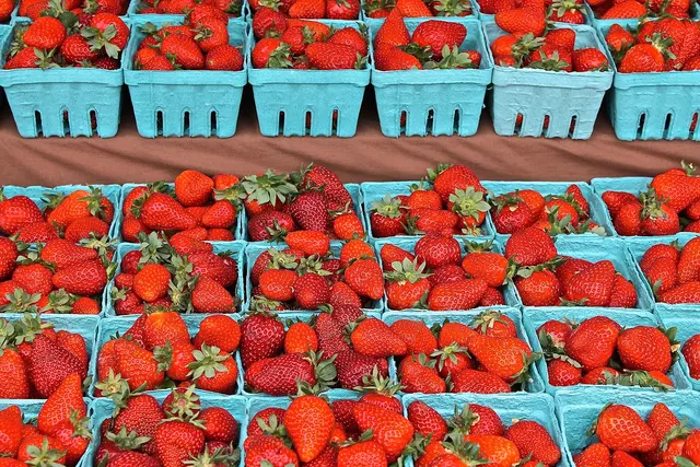 Montavilla Farmers Market — photo from the business 7