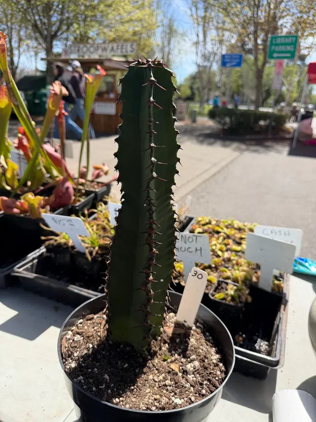 Beaverton Farmers Market — customer photo 10