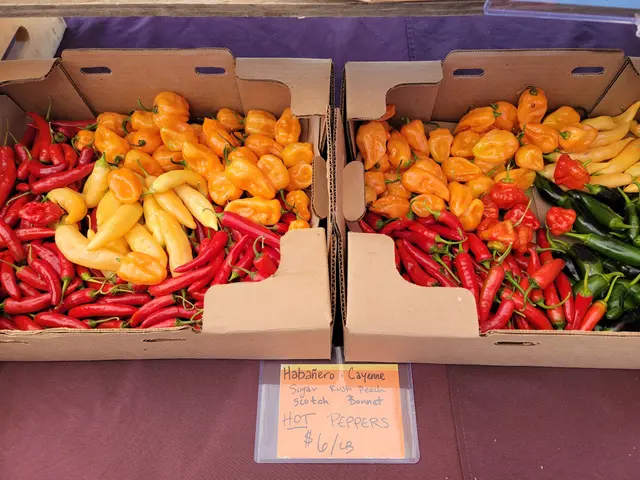 Oregon City Farmers Market — customer photo 8