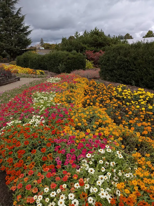Oregon City Farmers Market — customer photo 11