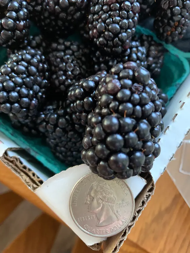 Oregon City Farmers Market — customer photo 9