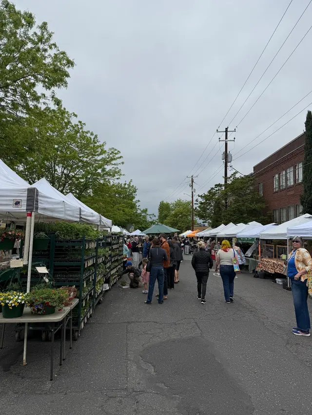 Hollywood Farmers Market — customer photo 4