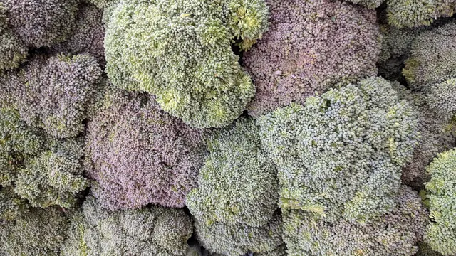 Customer photo of work by Hollywood Farmers Market, from John Kutasz's review