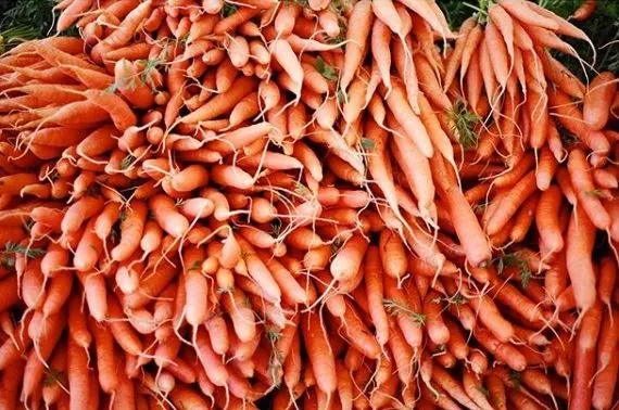 Hollywood Farmers Market — photo from the business 11