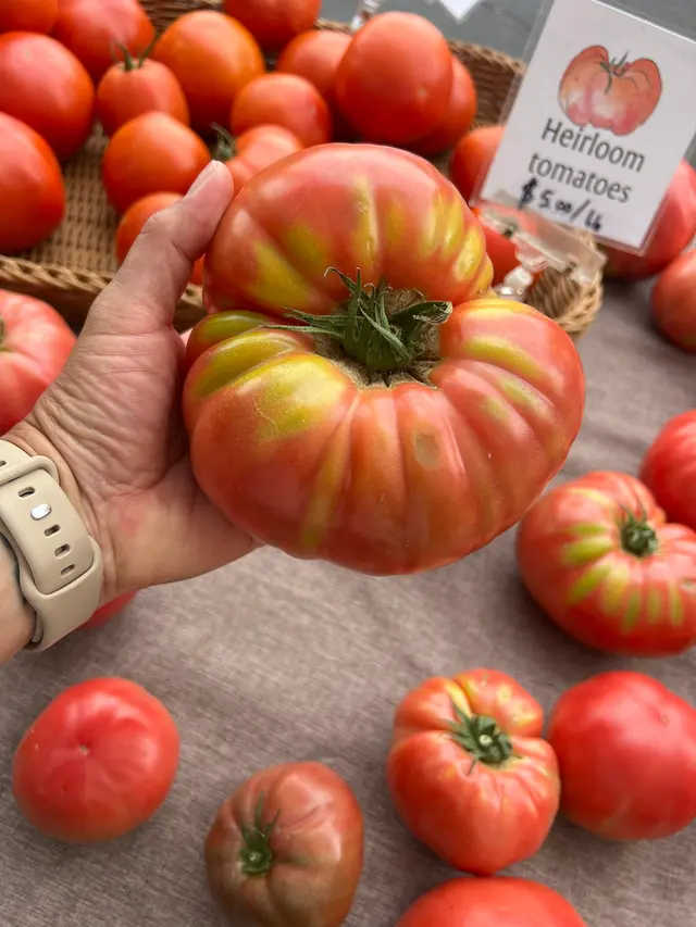 Hollywood Farmers Market — customer photo 5