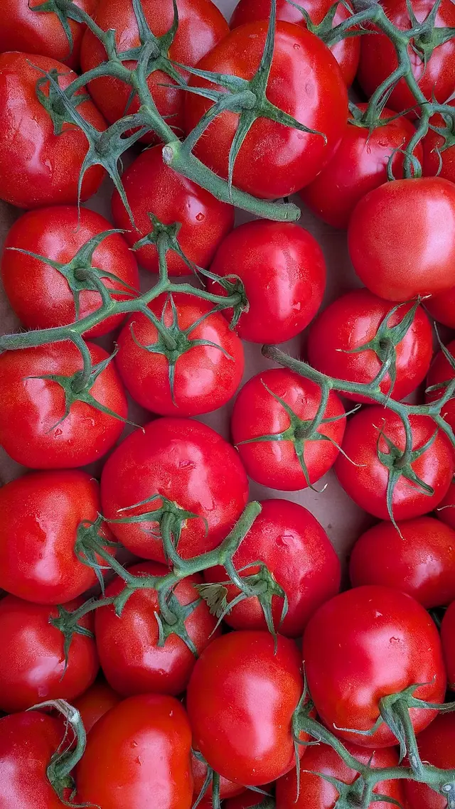 Hollywood Farmers Market — customer photo 7