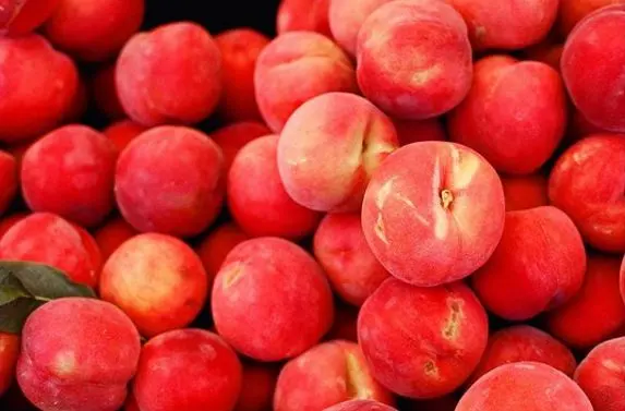 Hollywood Farmers Market — photo from the business 10