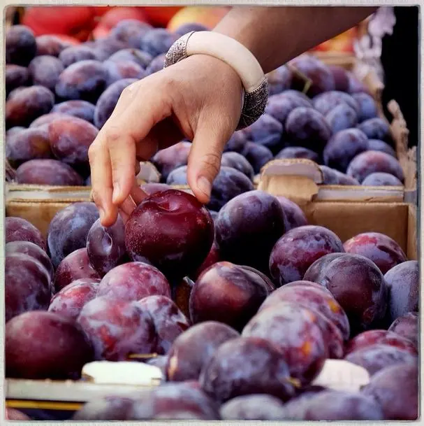 Hollywood Farmers Market — photo from the business 2