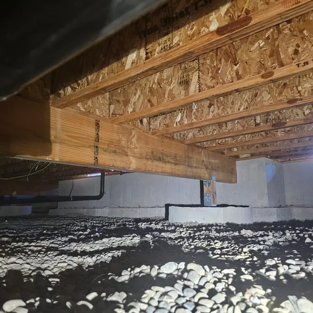 Rodent Guard Pest Control — photo from the business 11