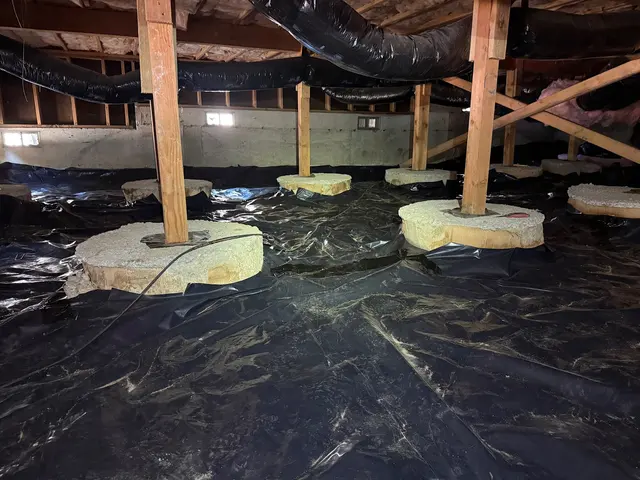 Rodent Guard Pest Control — photo from the business 1