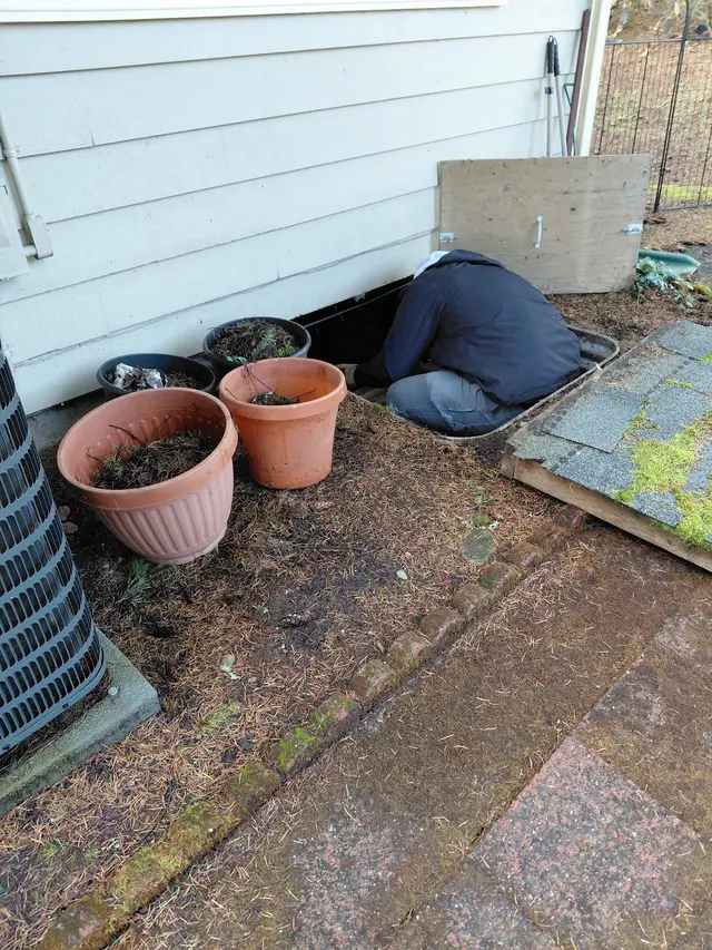Rodent Guard Pest Control — customer photo 6