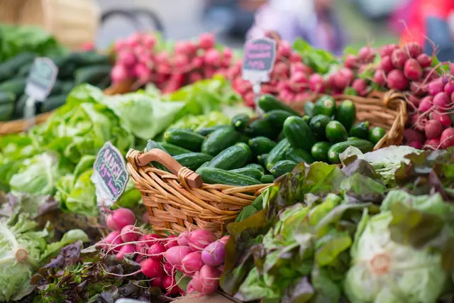Portland Farmers Market - Shemanski Park — photo from the business 2