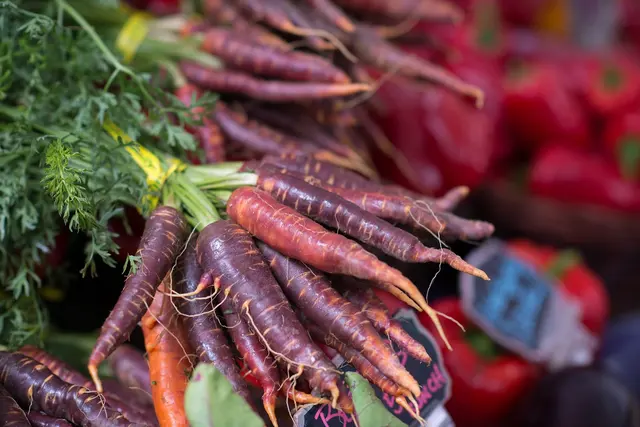 Portland Farmers Market - Shemanski Park — photo from the business 10