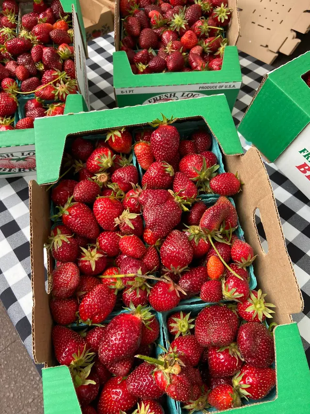 Portland Farmers Market - Shemanski Park — customer photo 9
