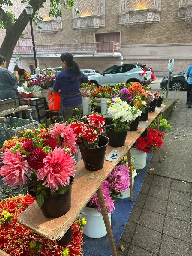 Portland Farmers Market - Shemanski Park — customer photo 6