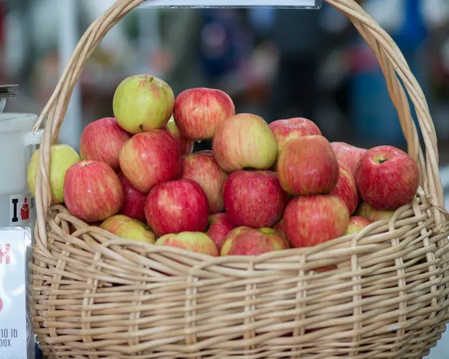 Portland Farmers Market - Shemanski Park — photo from the business 7