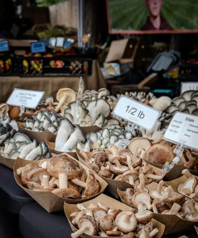 St. Johns Farmers Market — photo from the business 10