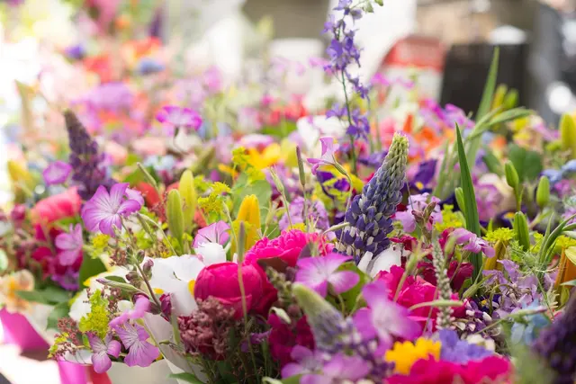 Portland Farmers Market at PSU — photo from the business 6