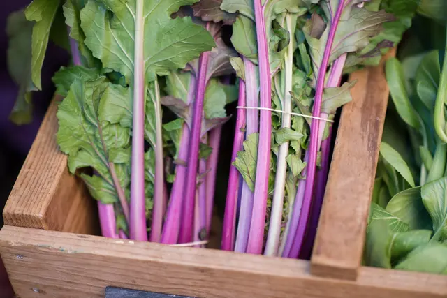 Portland Farmers Market at PSU — photo from the business 11