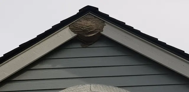 Insight Pest Solutions — photo from the business 4