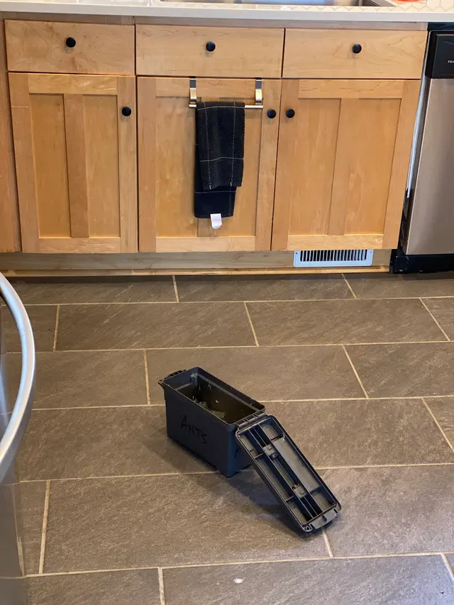 Insight Pest Control - Bellevue — customer photo 7