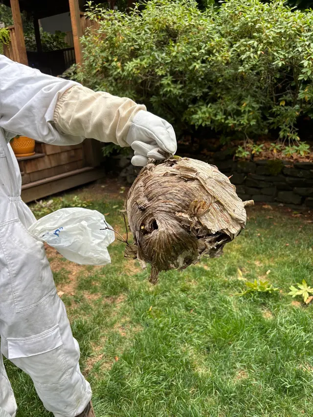 Insight Pest Control - Bellevue — customer photo 6