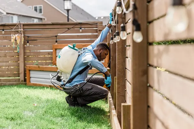 Insight Pest Control - Bellevue — photo from the business 2