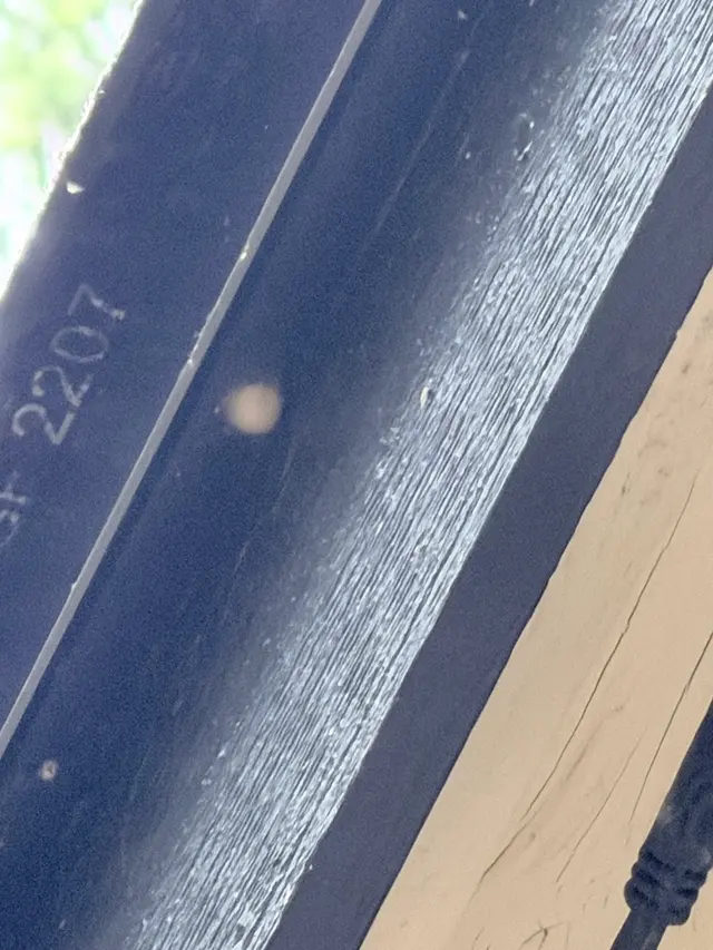 Insight Pest Control - Bellevue — customer photo 9