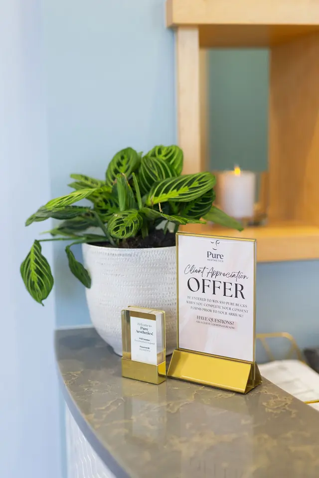 Pure Aesthetics — photo from the business 8