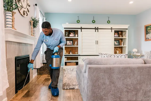 Insight Pest Control - Seattle — photo from the business 4