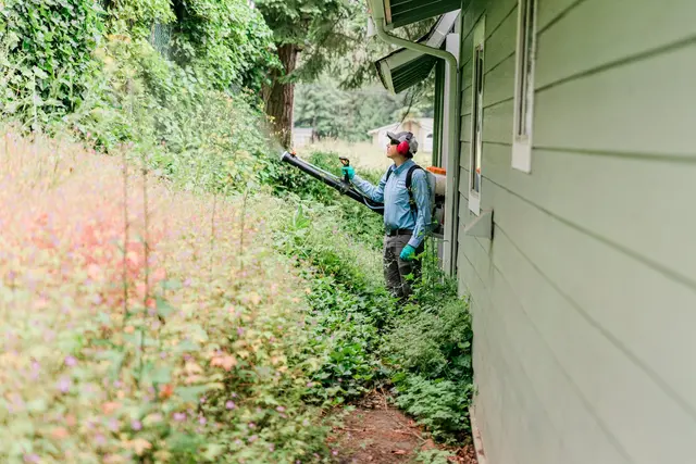 Insight Pest Control - Seattle — photo from the business 10