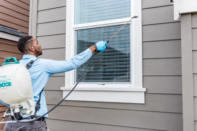 Insight Pest Control - Seattle — photo from the business 5
