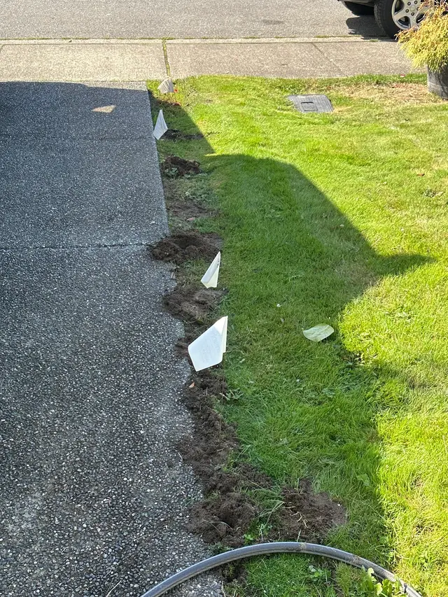 Insight Pest Control - Seattle — customer photo 2