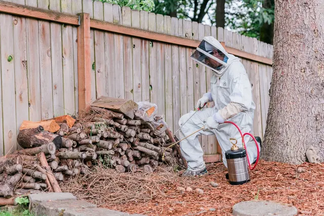 Insight Pest Control - Seattle — photo from the business 7