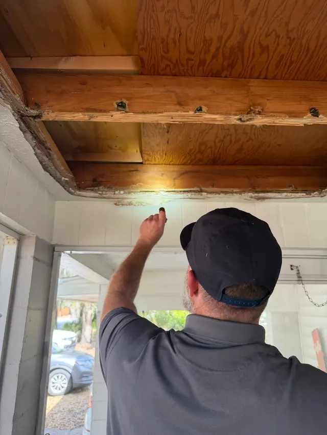 McDonald Exterminators Inc — photo from the business 5