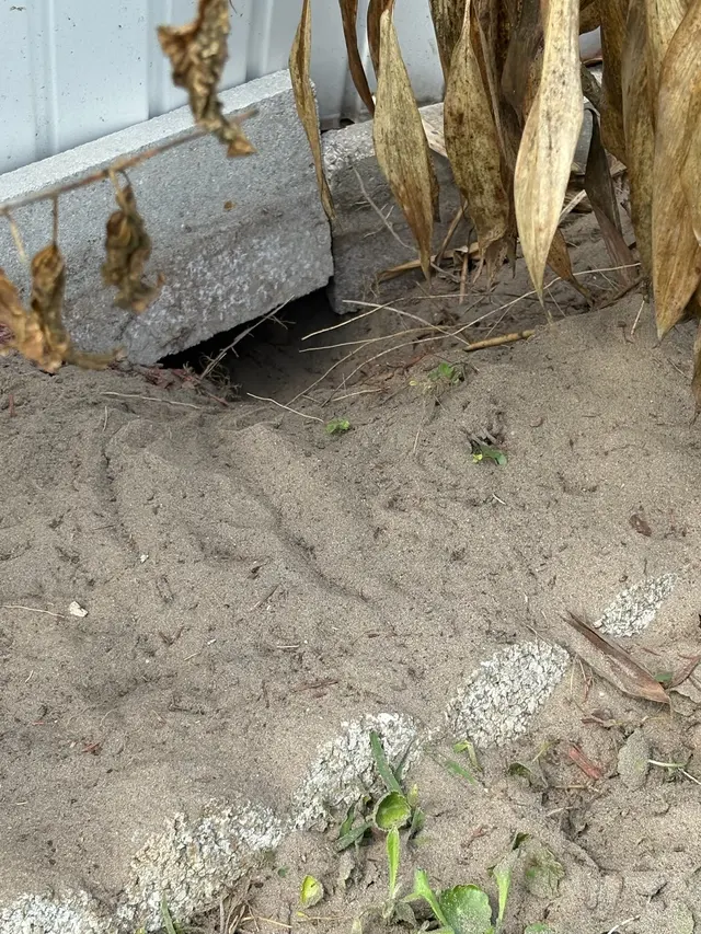 McDonald Exterminators Inc — photo from the business 12