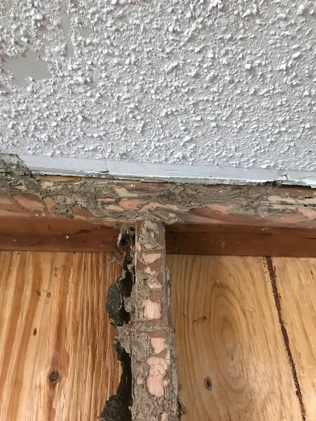 McDonald Exterminators Inc — photo from the business 10